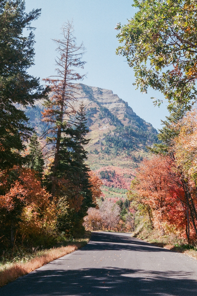 Autum on American Fork Canyon Alpine Loop Scenic Byway - Utah